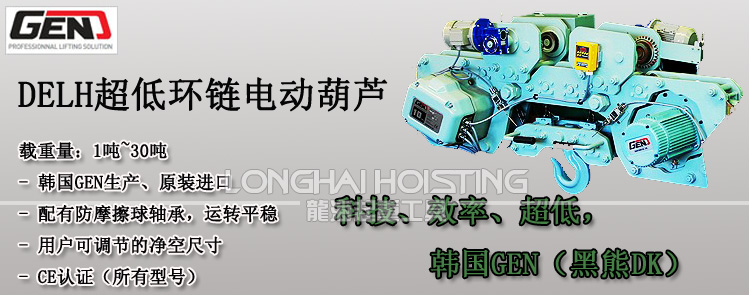 DELH超低環(huán)鏈電動葫蘆