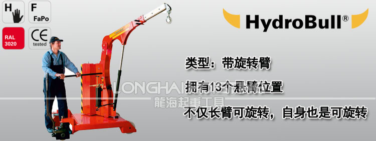 德國(guó)帶旋轉(zhuǎn)臂工業(yè)液壓小吊車(chē)